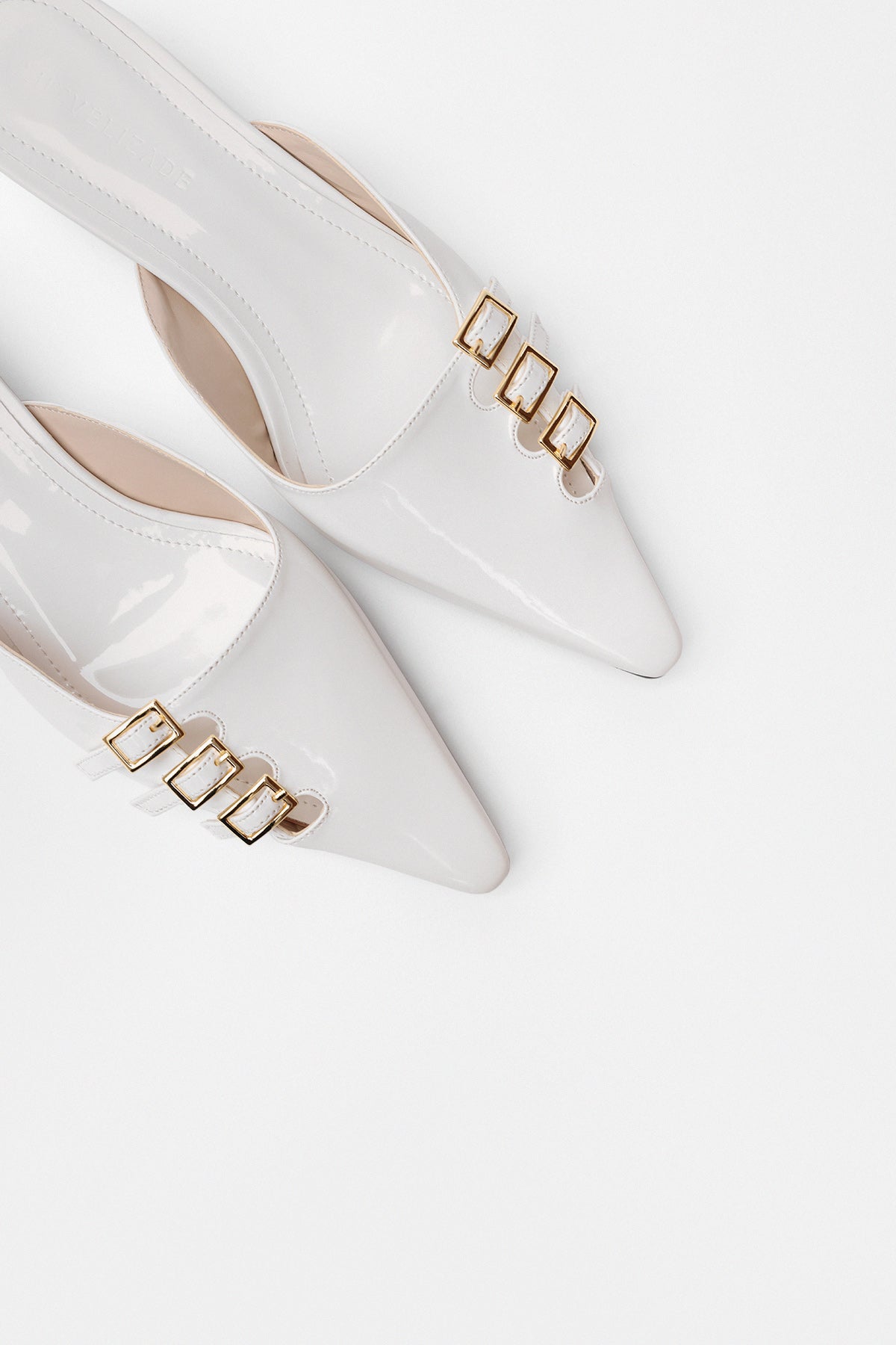 lutvelizade scalzato fibbie