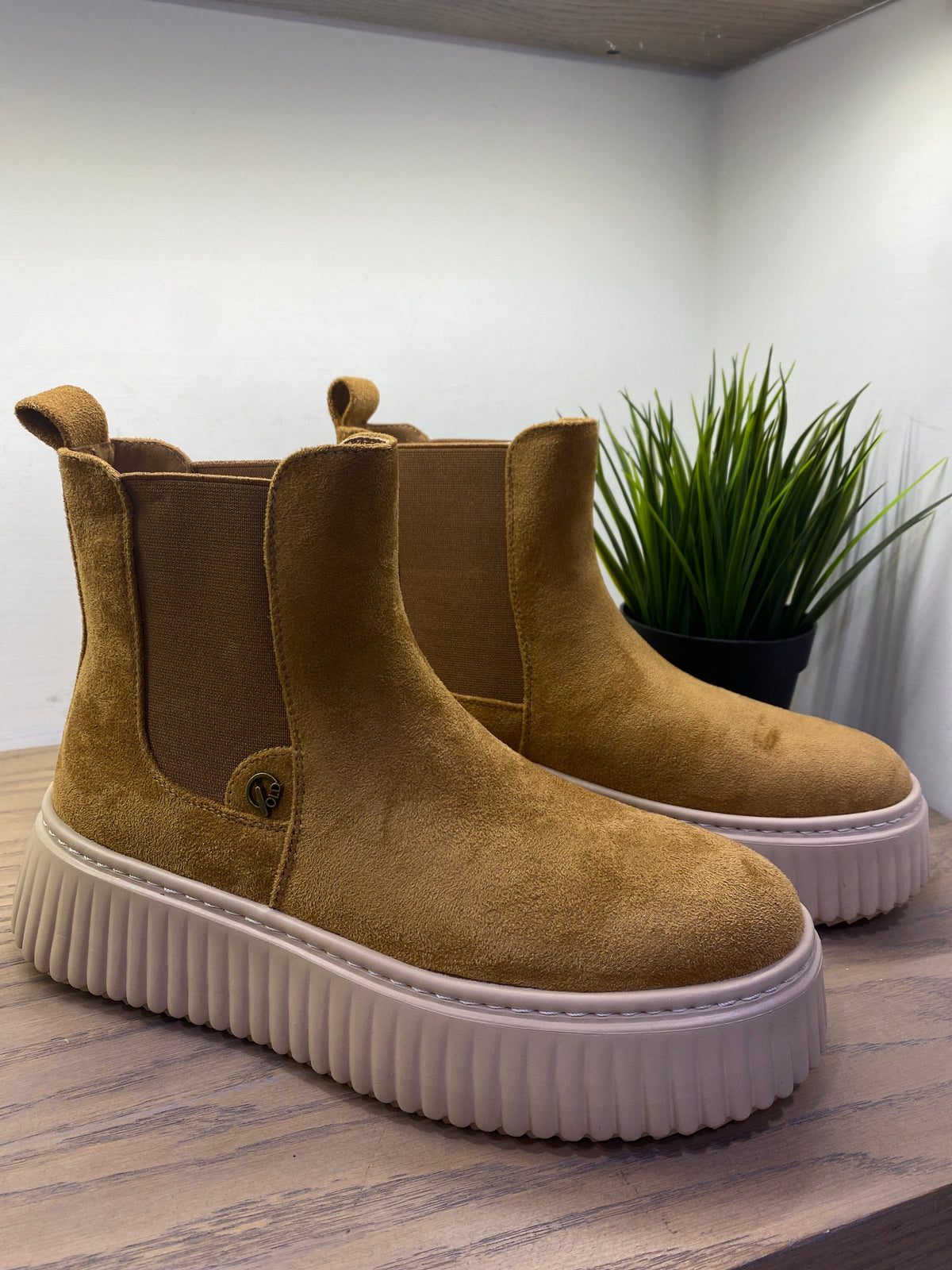 gold beatles elastico