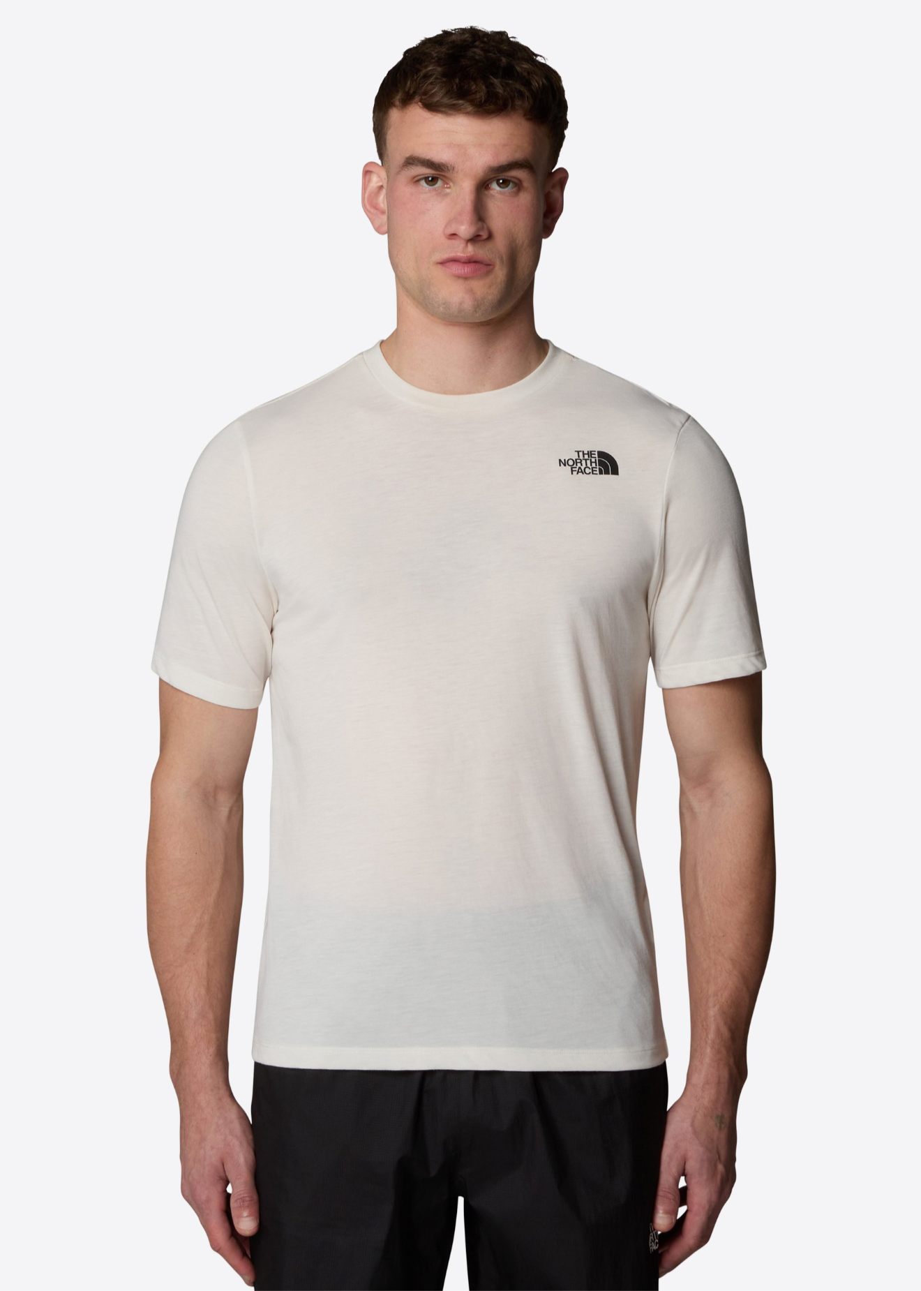 the north face m fndtn mountain tee