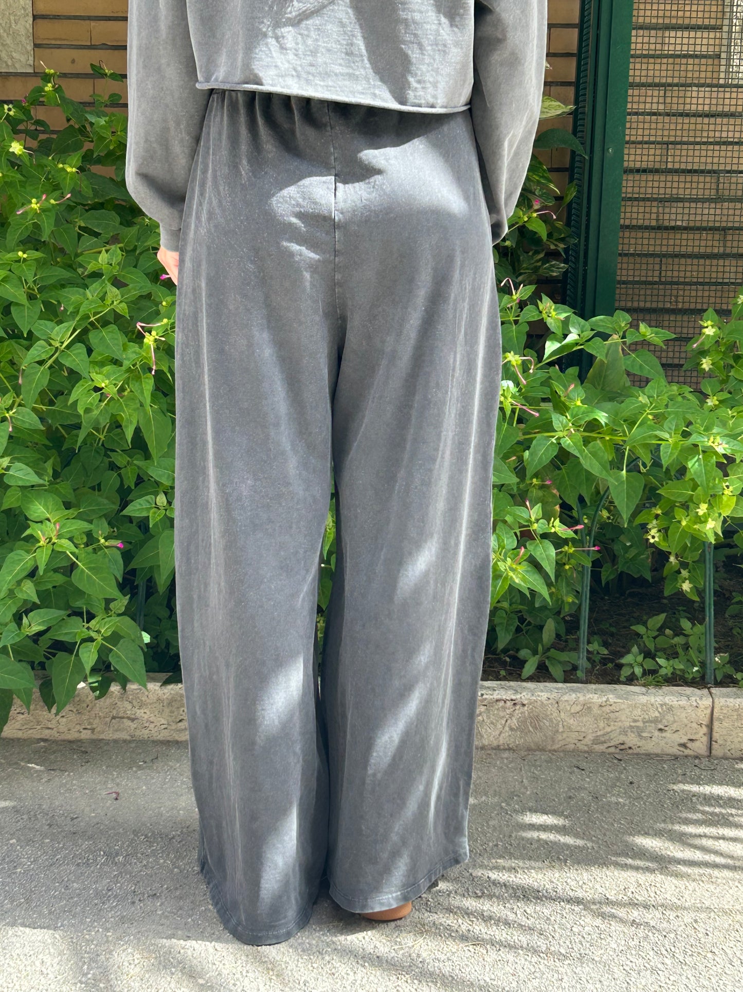 isabel panta tuta delave