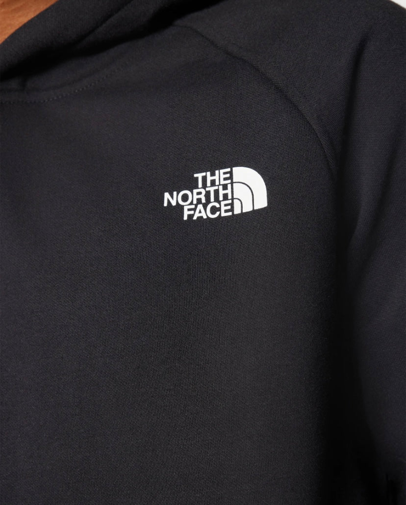 tnf raglan box nse hoddie