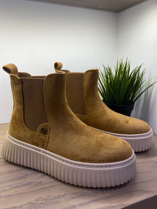 gold beatles elastico