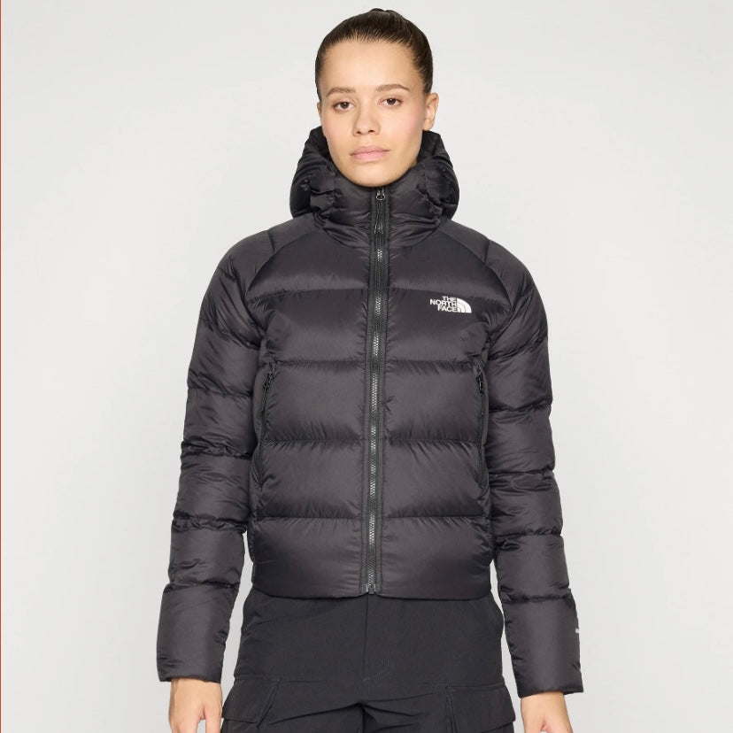 tnf w hyalite  down hoodie