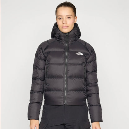 tnf w hyalite  down hoodie