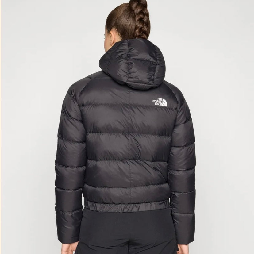 tnf w hyalite  down hoodie