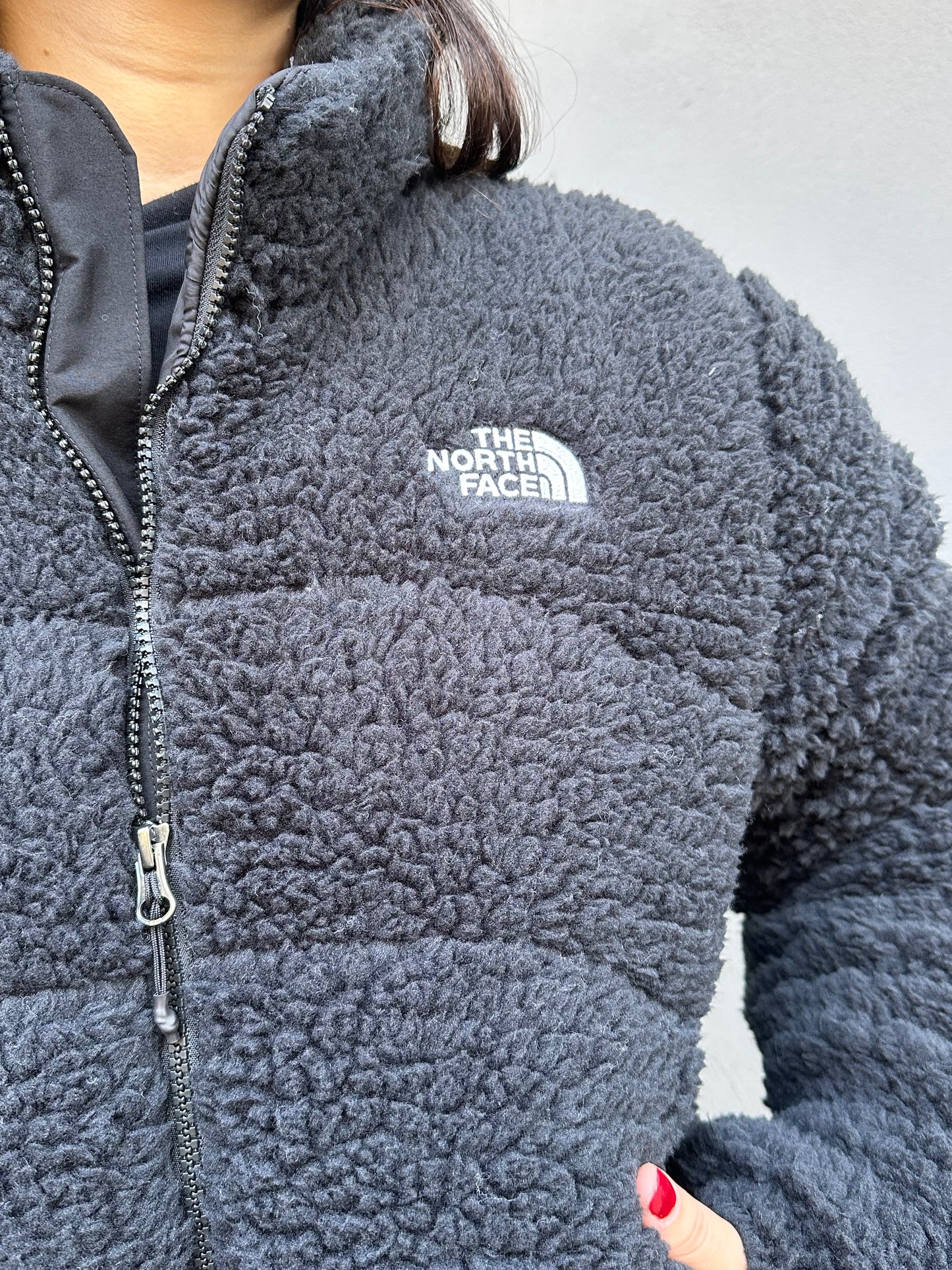 the north face w high pile tnf jckt