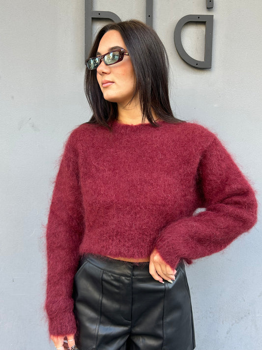 egg pull pelo crop