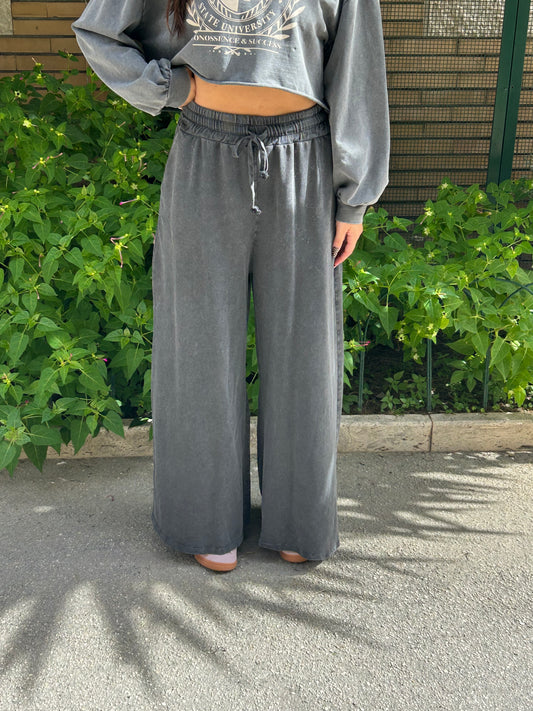 isabel panta tuta delave