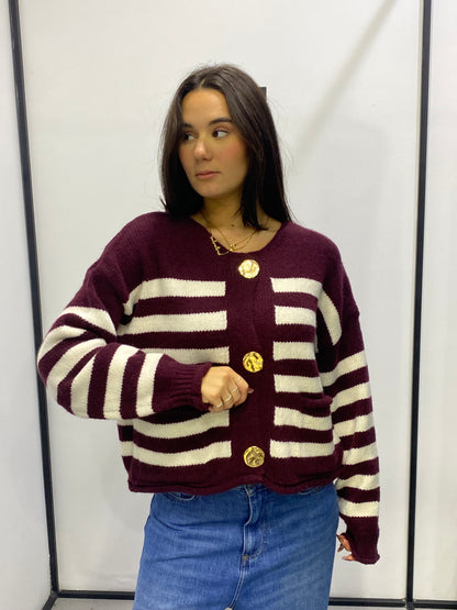 glitter cardigan righe