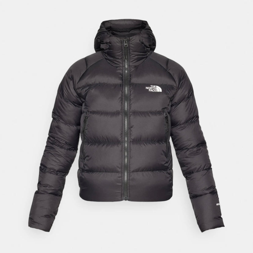 tnf w hyalite  down hoodie