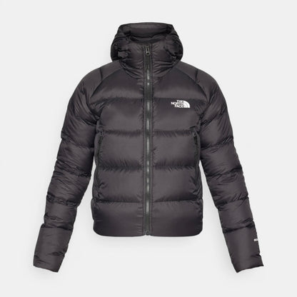 tnf w hyalite  down hoodie