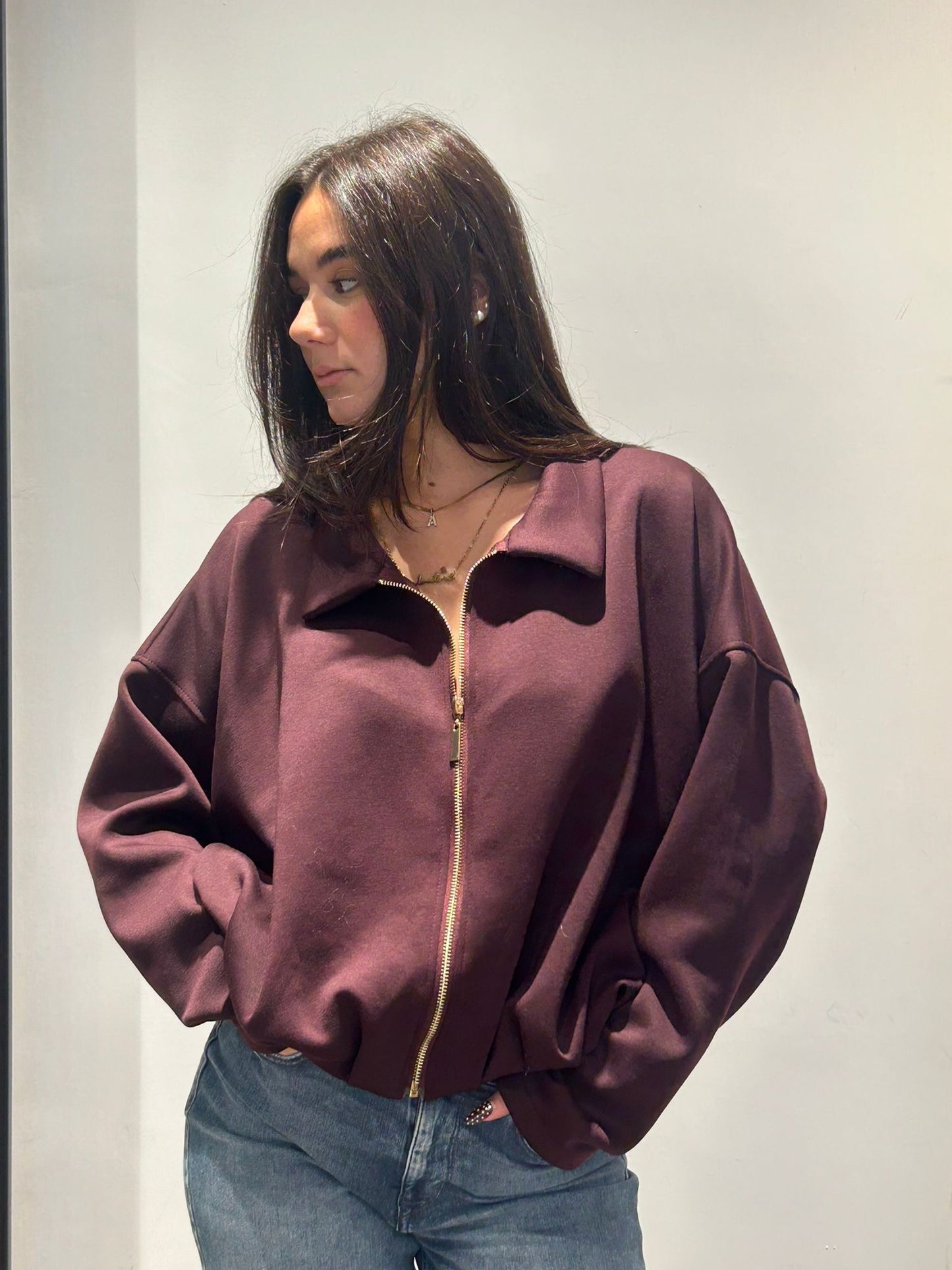 isabel felpa over zip